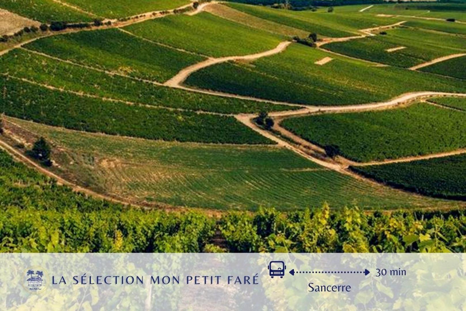 Paradis Des Poutres - Renove & Centre-Ville Bourges Exteriör bild